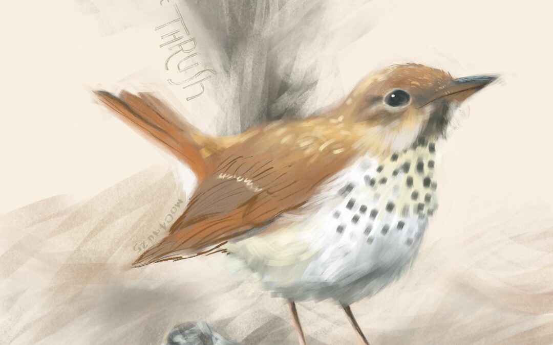Experiments In Digital Oil Painting