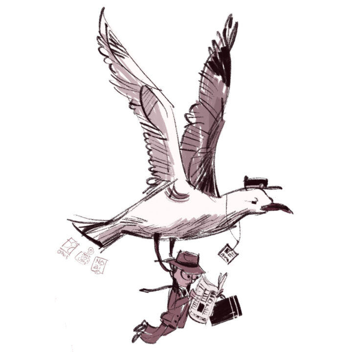 Seagull commute square